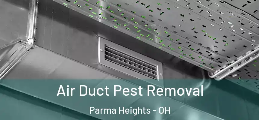 Air Duct Pest Removal Parma Heights - OH