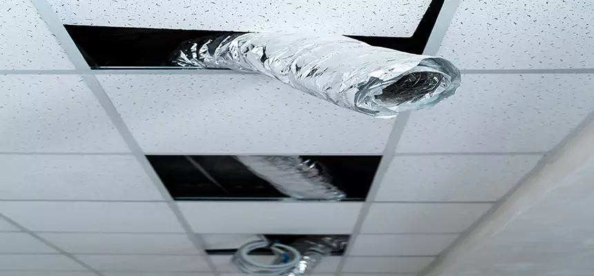 Affordable HVAC Sanitizing After Pest Removal in Parma Heights