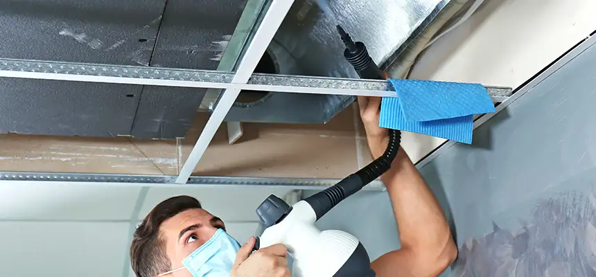 Our Air Duct Rodent Removal Services in Parma Heights, OH