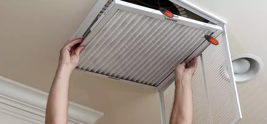 Our Insect Removal from Air Ducts Services in Parma Heights, OH