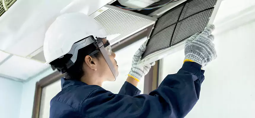 Our Mold & Mildew Removal from Air Ducts Services in Parma Heights, OH