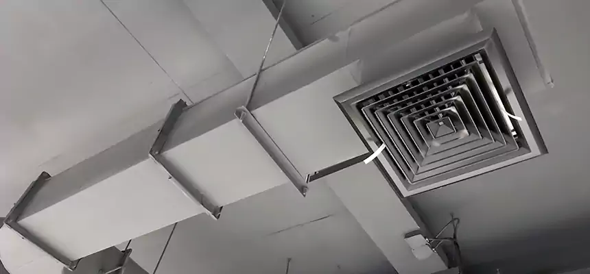 Our Pest Removal From Ducts Services in Parma Heights, OH