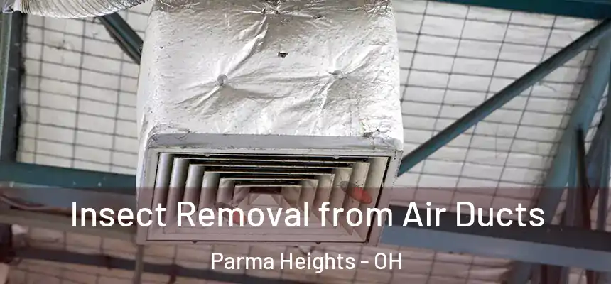 Insect Removal from Air Ducts Parma Heights - OH