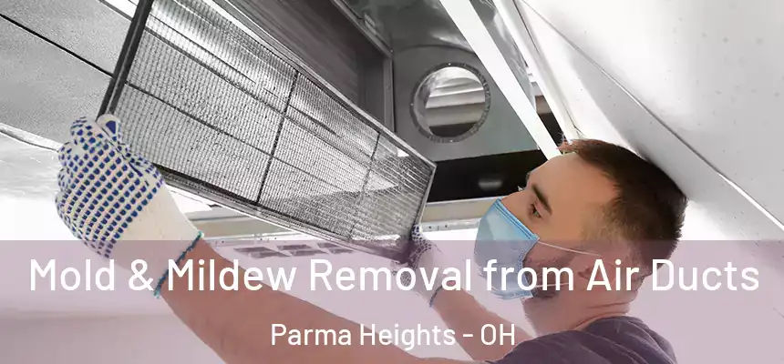  Mold & Mildew Removal from Air Ducts Parma Heights - OH