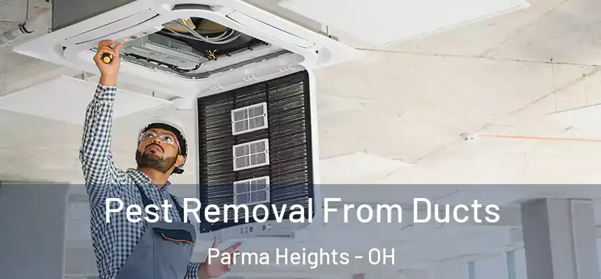  Pest Removal From Ducts Parma Heights - OH