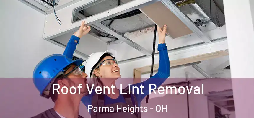  Roof Vent Lint Removal Parma Heights - OH