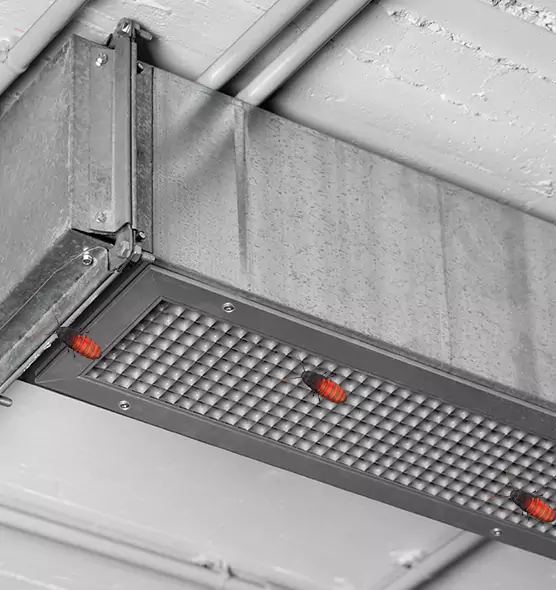 About Air Duct Cockroach Removal in Parma Heights, OH