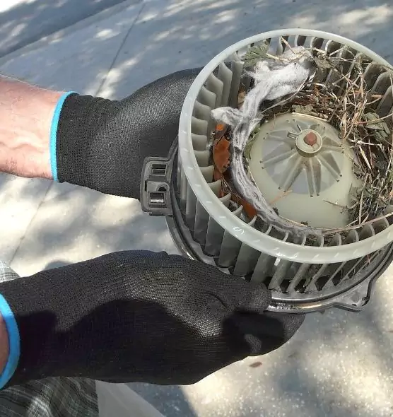 About Air Duct Rat Removal in Parma Heights, OH