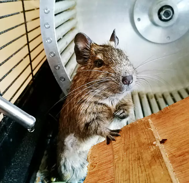 Why Homeowners & Businesses Trust Us Parma Heights, OH