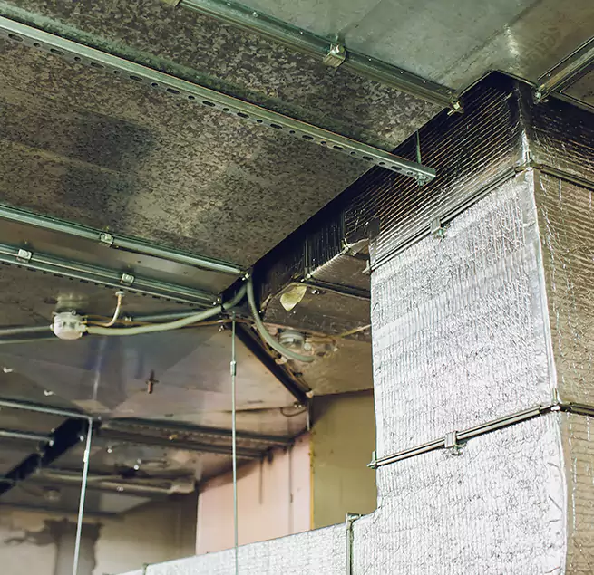 Why Homeowners & Businesses Trust Us in Parma Heights, OH?